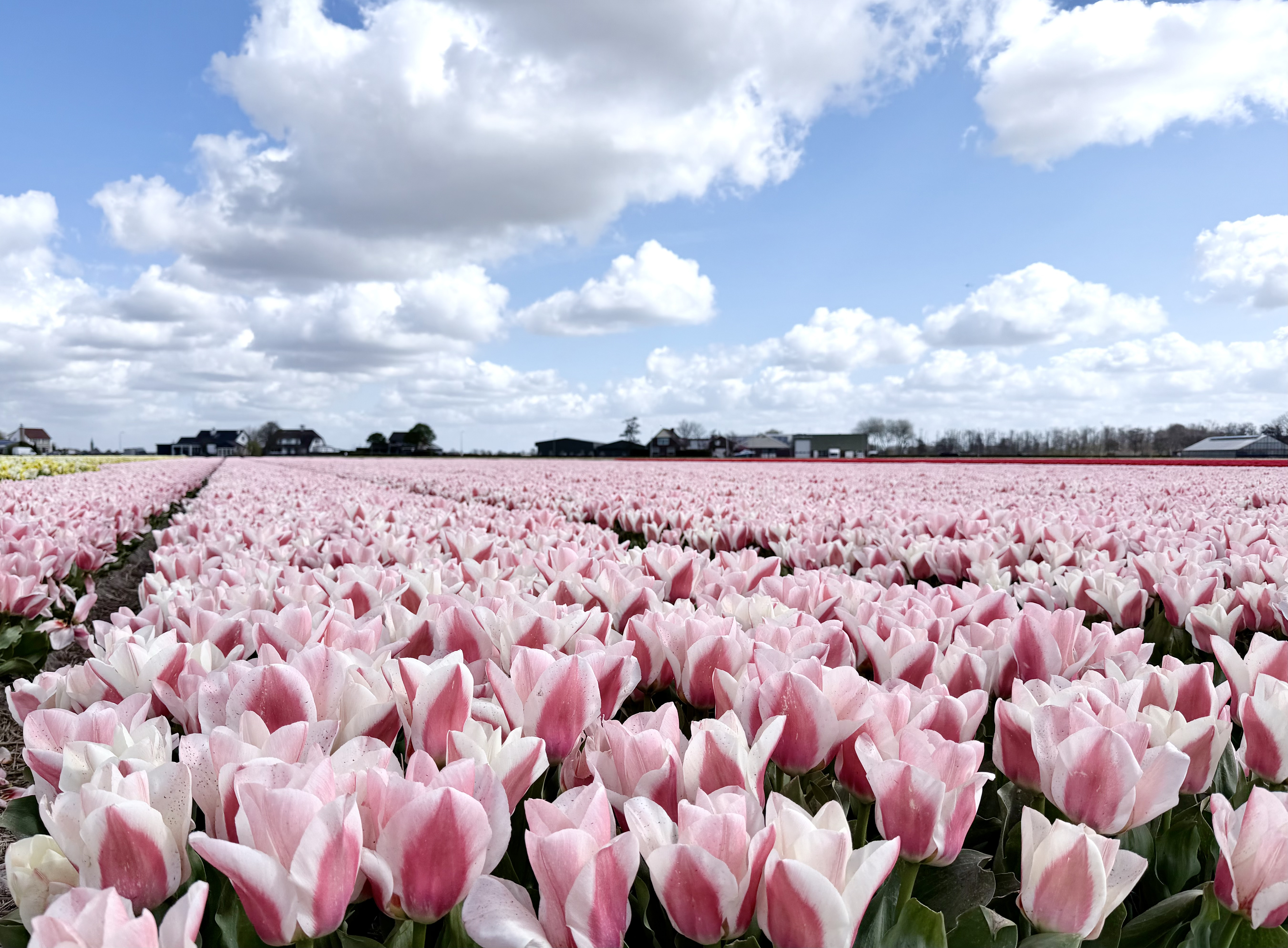 lisse-1