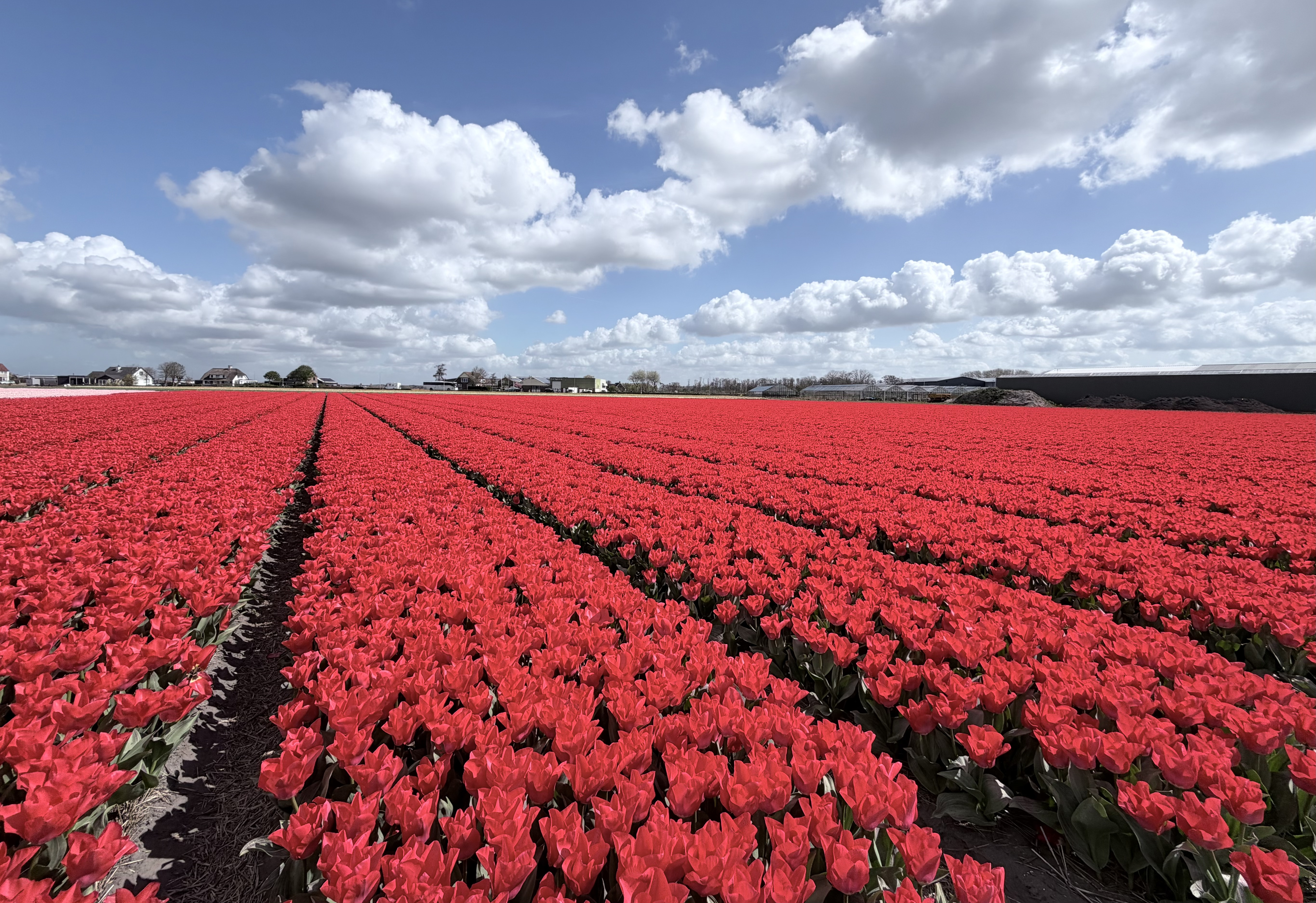 lisse-2