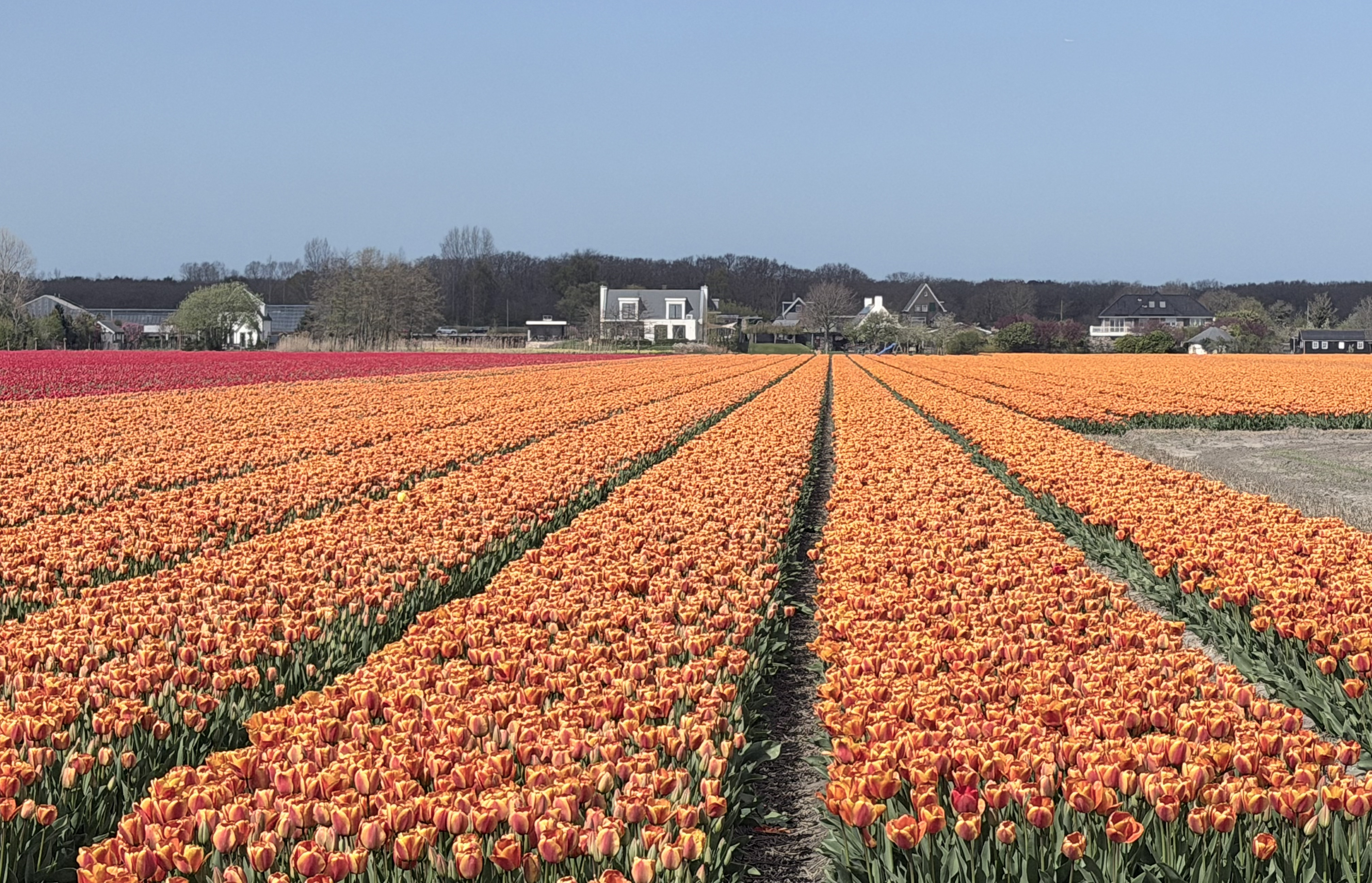 lisse-4