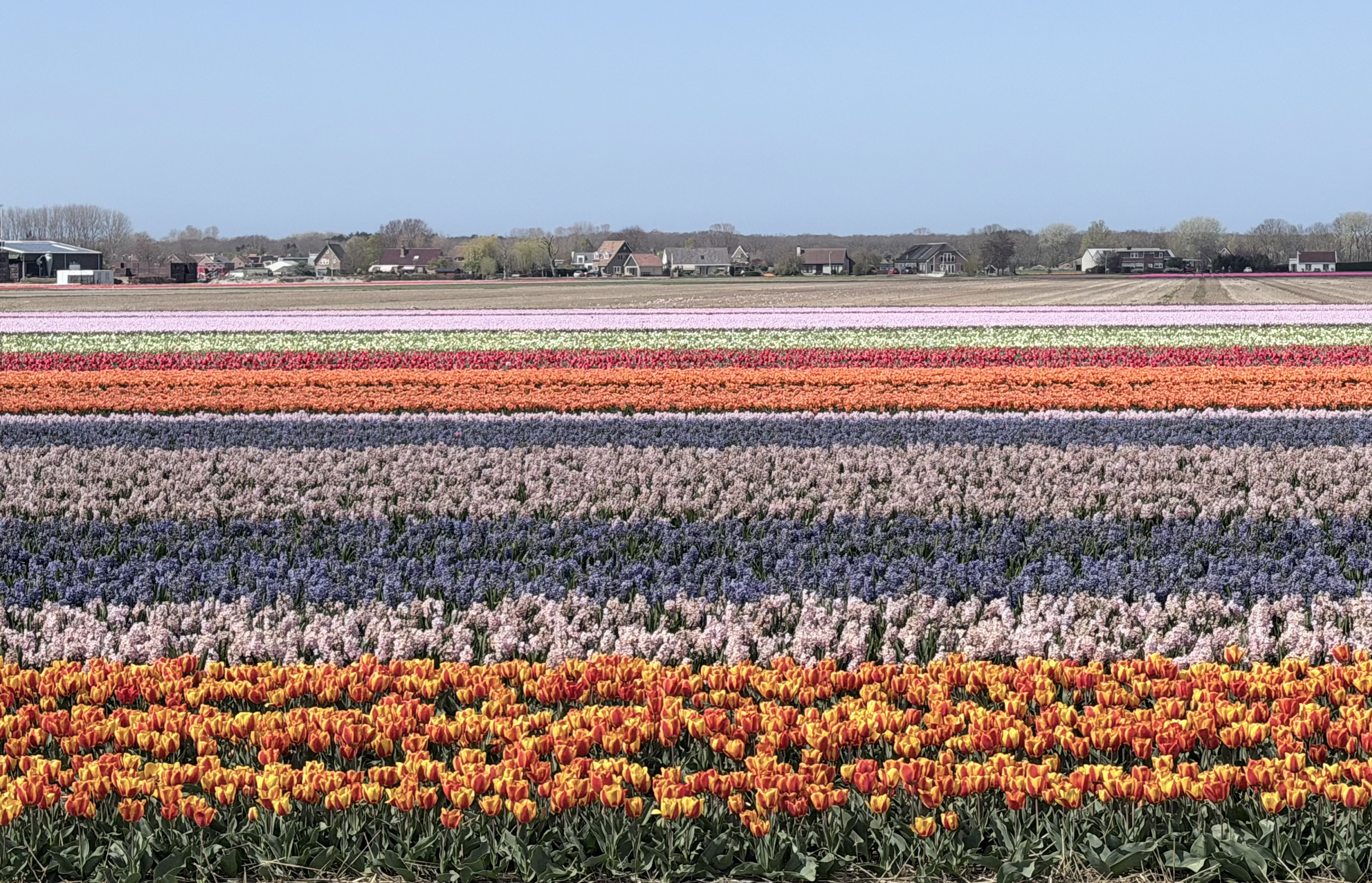 lisse-5