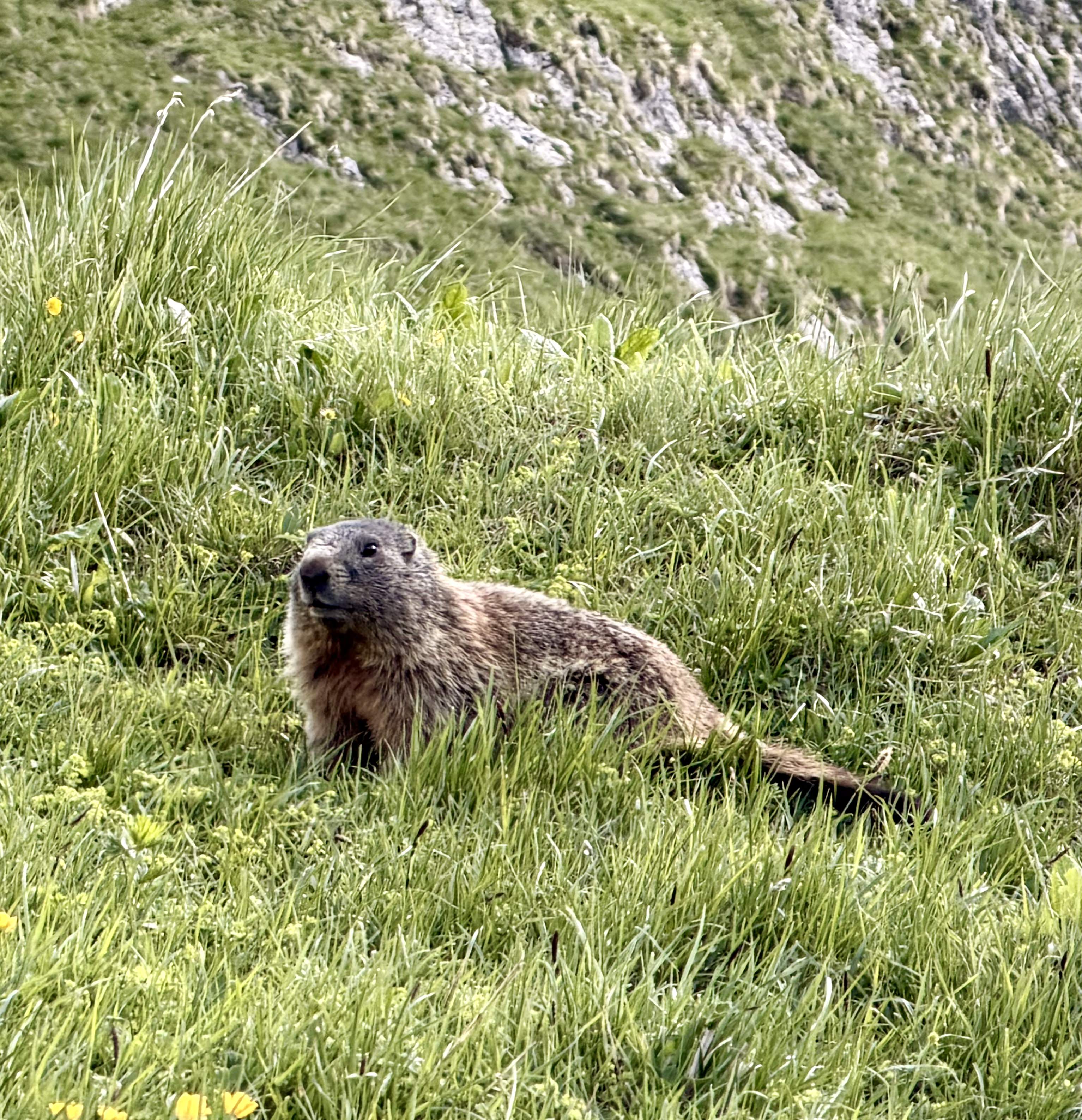 tirol-3