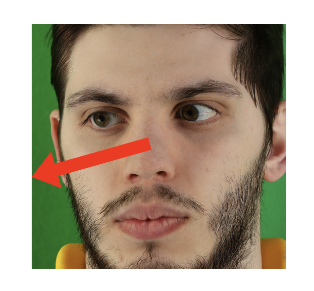 Investigation of Architectures and Receptive Fields for Appearance-based Gaze Estimation